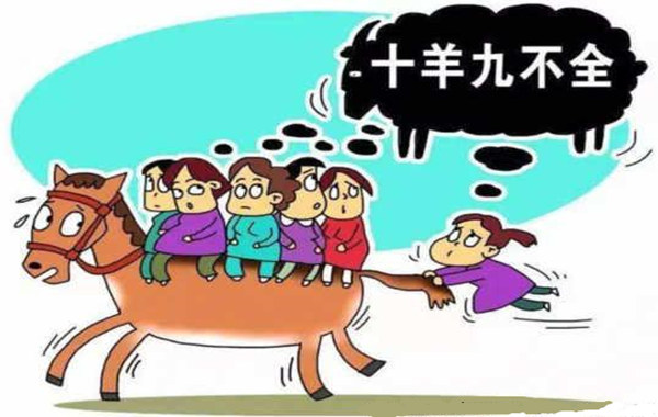 属羊的人命好不好 属羊的人命好不好