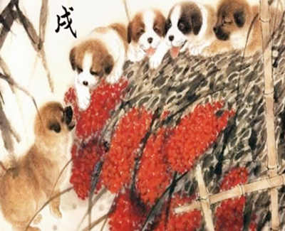 属狗人的命好不好 属狗人的命好不好