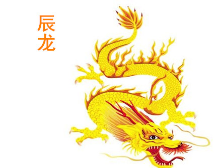 属龙人的办公室布局 属龙人的办公室布局