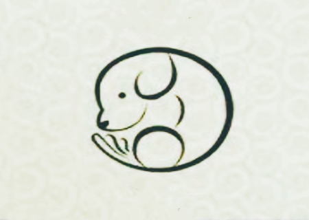 属狗的人几月出生最好 属狗的人几月出生最好