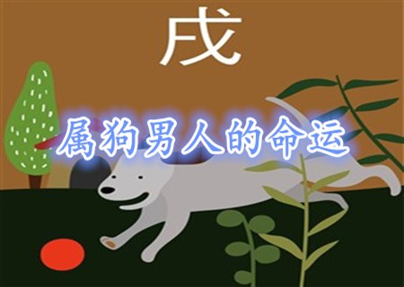 属狗的男人命好不好 属狗的男人命好不好