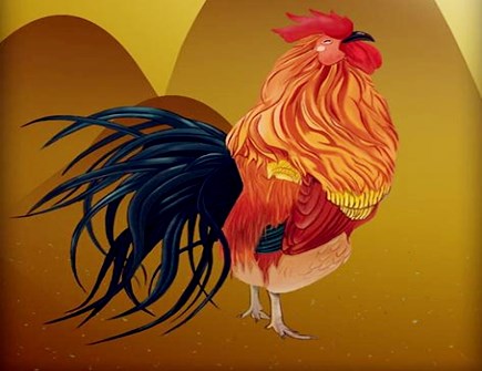 生肖鸡不能配什么生肖 生肖鸡不能配什么生肖