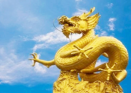 属龙的幸运花是什么花 属龙的幸运花是什么花