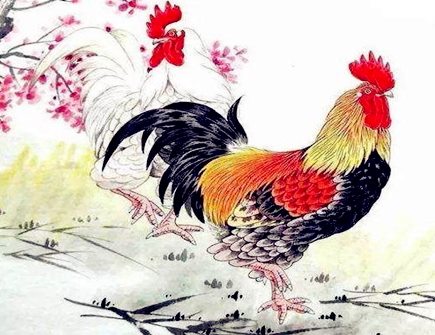 属鸡女人婚姻与命运 属鸡女人婚姻与命运
