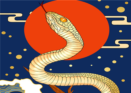 属蛇女孩什么时辰出生最好 属蛇女孩什么时辰出生最好