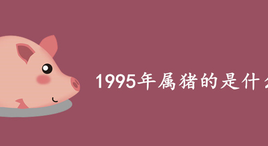 95年是什么命 1995年属猪的是什么命