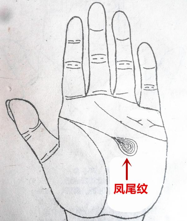 凤尾纹一定会离婚吗?手相中有凤尾纹必定离婚!