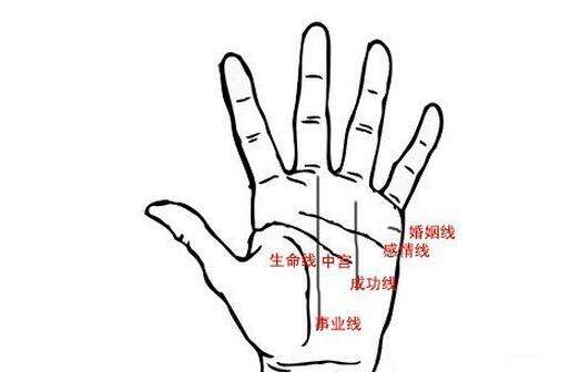 手相分析之事业线大全:事业线大应该怎么看?