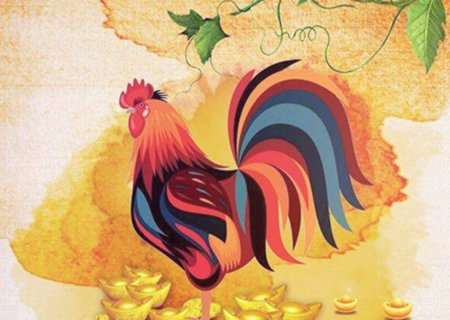 生肖鸡适合养什么宠物 生肖鸡适合养什么宠物