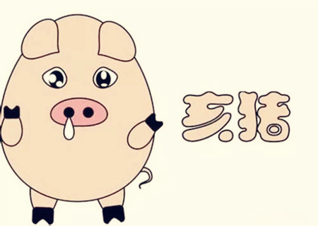 属猪的人办公室风水布局 属猪的人办公室风水布局