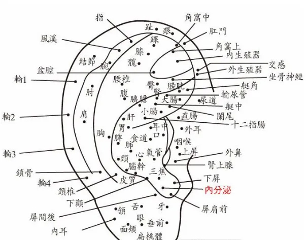 算命的说耳垂有痣的人 男人女人耳垂痣详解