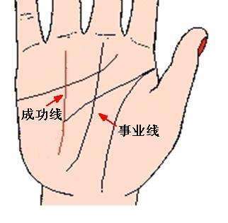 手相事业线是哪一条?事业线分析大全教你看懂事业线!