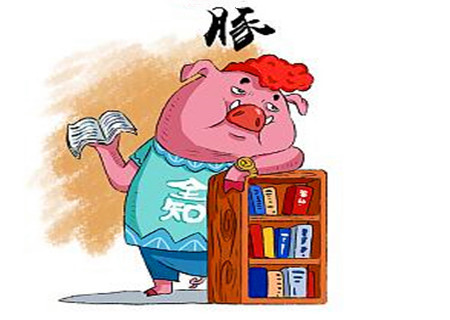 属猪的男人对待感情如何 属猪的男人对待感情如何