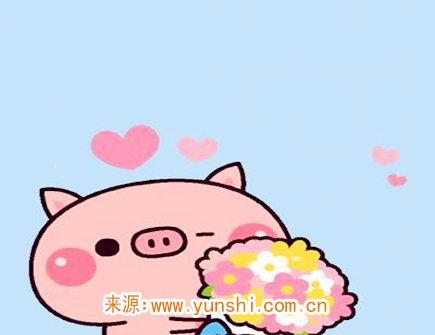 属猪纹身纹什么旺财 属猪纹身纹什么旺财