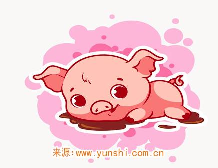 属猪人哪年开始转运 属猪人哪年开始转运