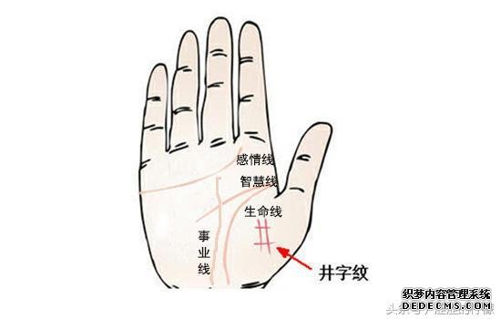 好命又聚财的井字纹, 你有吗?