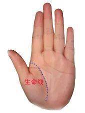 手相图解大全,教你手相看运程!