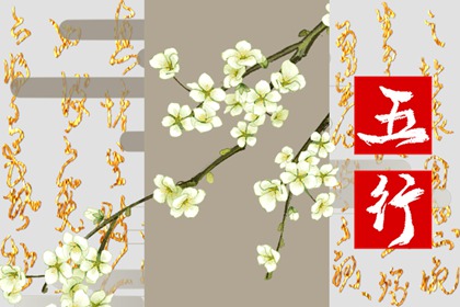 2007年五行属什么命,2007年属猪是什么命?
