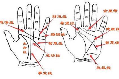 男人左右手代表含义,男人的左手的手相图解!