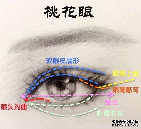 宝桃花眼面相分析:什么是桃花眼?桃花眼有哪些特征?