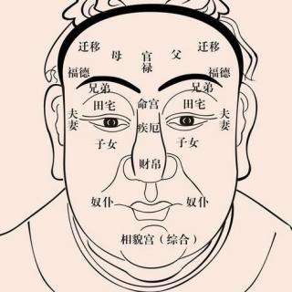 面相怎么看?面相学十二宫的具体部位和寓意(一)