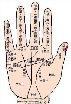 生命线图解:生命线长短的不同预兆。
