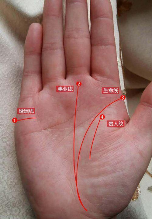 感情线与年龄段:“婚姻线”的位置与结婚年龄的关系。