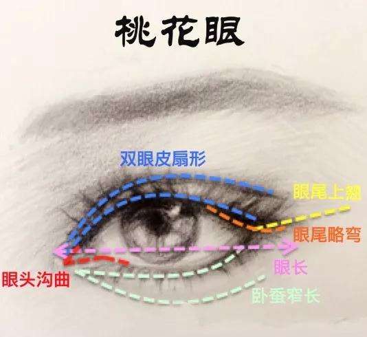 从面相看婚姻:多婚命的人有哪些面部特征?