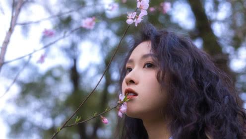 面相学怎样看鼻子