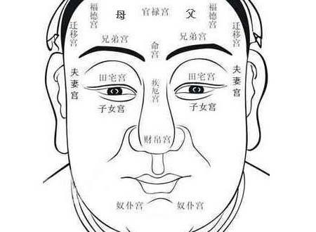 人的面相与命运,面相决定人的命运吗?