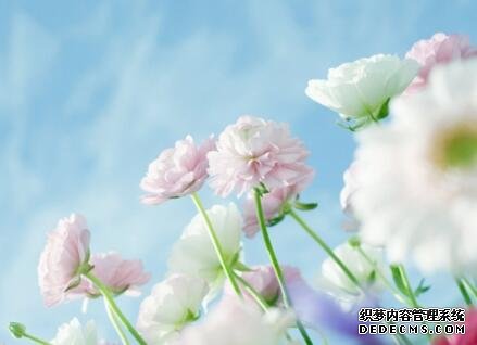 测试:你在人生的哪方面最容易经历坎坷?