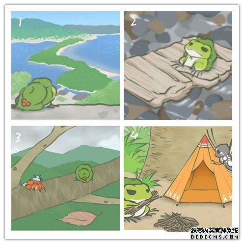 青蛙旅行,来测测你适合养什么类型的宠物?