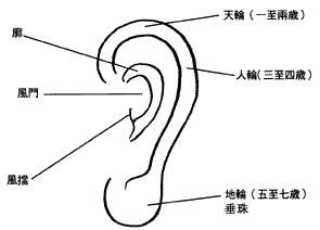 耳朵面相图解大全,十六种耳朵面相图文分析!