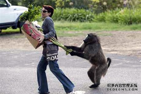 测测你厚颜无耻的指数