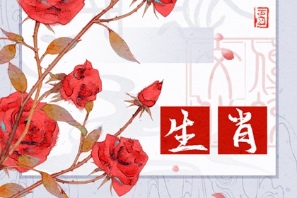 十二生肖一周运势11.20-11.26