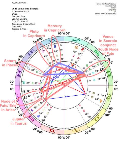 洛娜本周星座运势2023.12.4-12.10