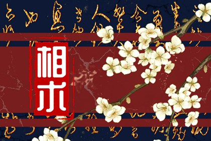 女人面部痣相最准图左脸 左脸痣主福