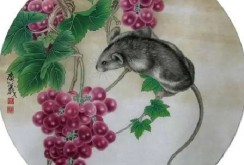 属羊和属鼠的婚姻相配吗