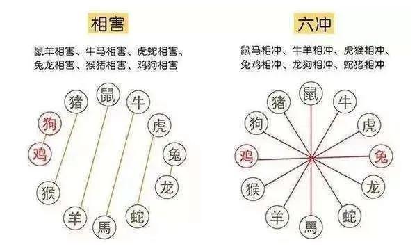 生肖相冲真的不能在一起吗