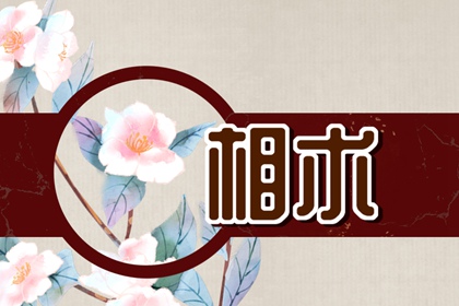痣相女人手背指头间长痣 比较正派