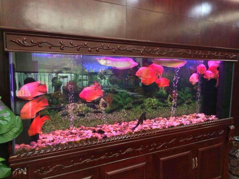 家中摆放什么招财辟邪 摆放铜器辟邪