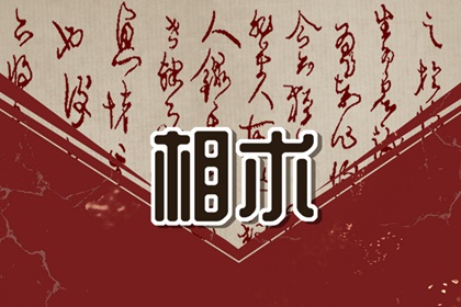 耳不过眼的人什么命 耳不过眼性格特征