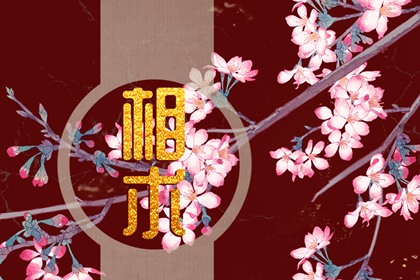 女人小腹上有痣相 也是饱腹痣