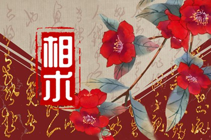 女人手指痣相测命图解大全