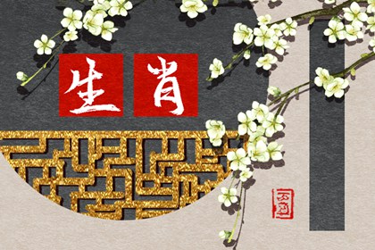2024有重孝的生肖,2024年披麻戴孝的属相