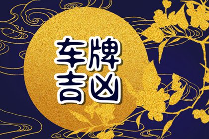 车牌号尾数7与9谁好 利财运的车牌号码