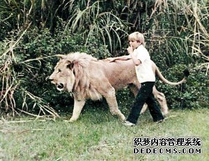 测试你会成为恐怖分子中的一员吗