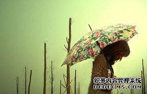 测测你最输不起什么