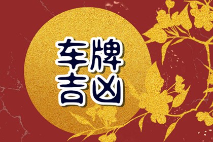 车牌号全是奇数该怎么办 车牌号全是单数好吗