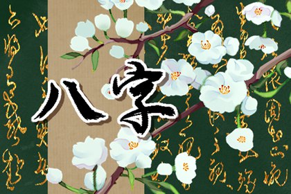 车牌号码尾数为5最好 吉祥车牌号码存在意义